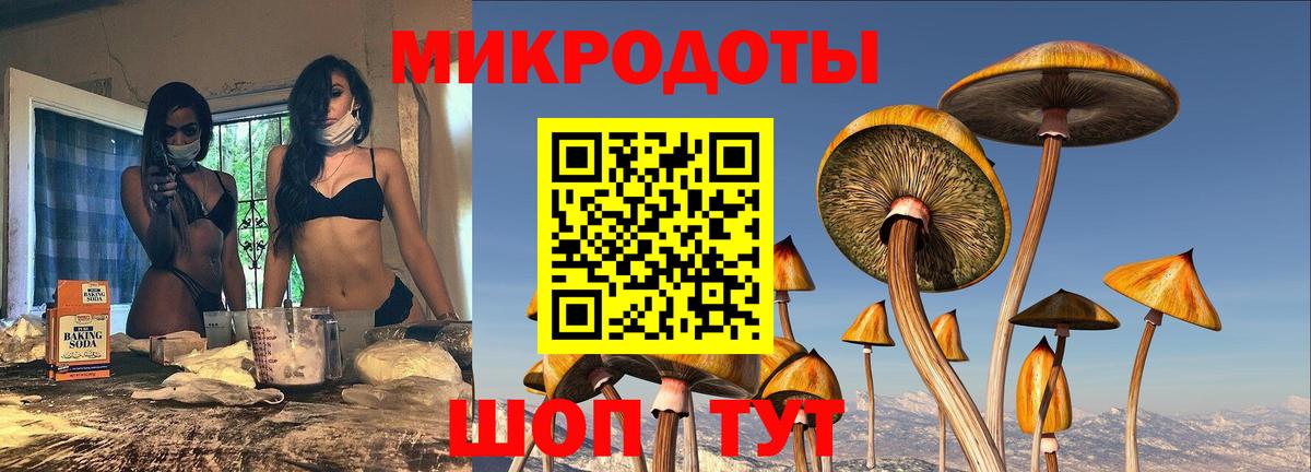 Псилоцибиновые грибы мухоморы Великий Устюг