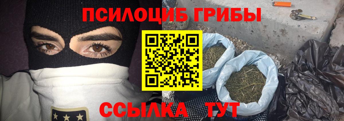Псилоцибиновые грибы Cubensis  Вход с VPN  Галлюциногенные грибы Psilocybine cubensis  Великий Устюг 